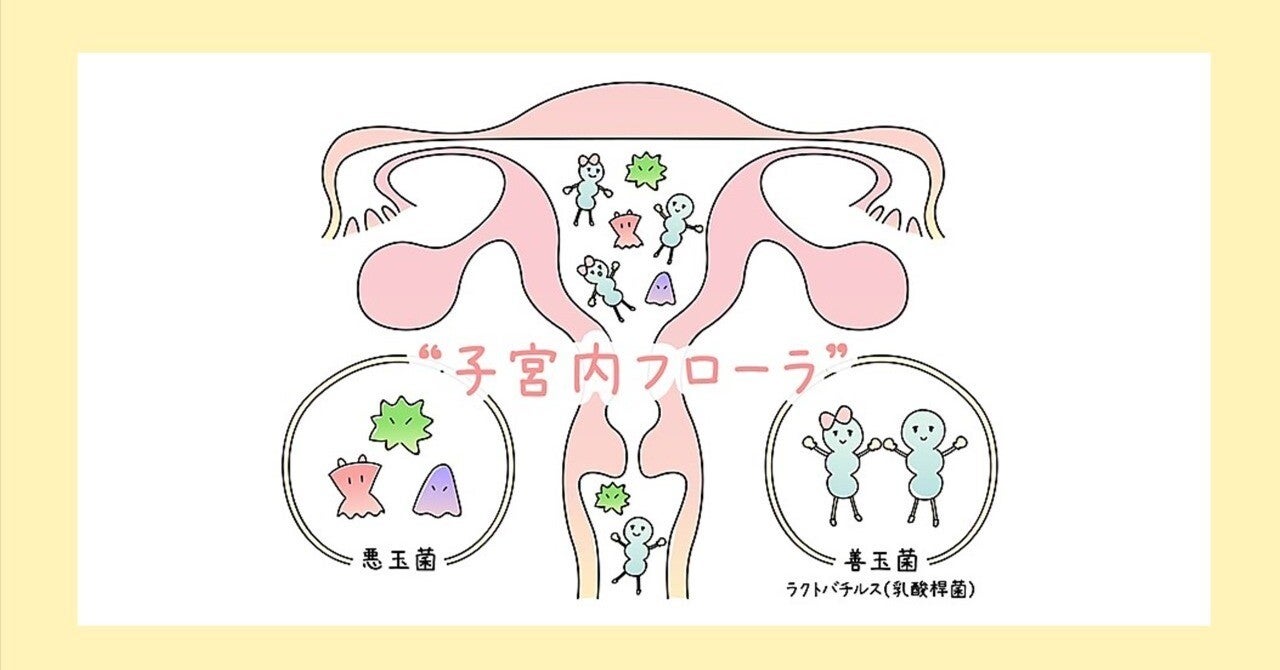 【専門家に聞く】子宮内フローラと妊娠率・生児獲得率の関係