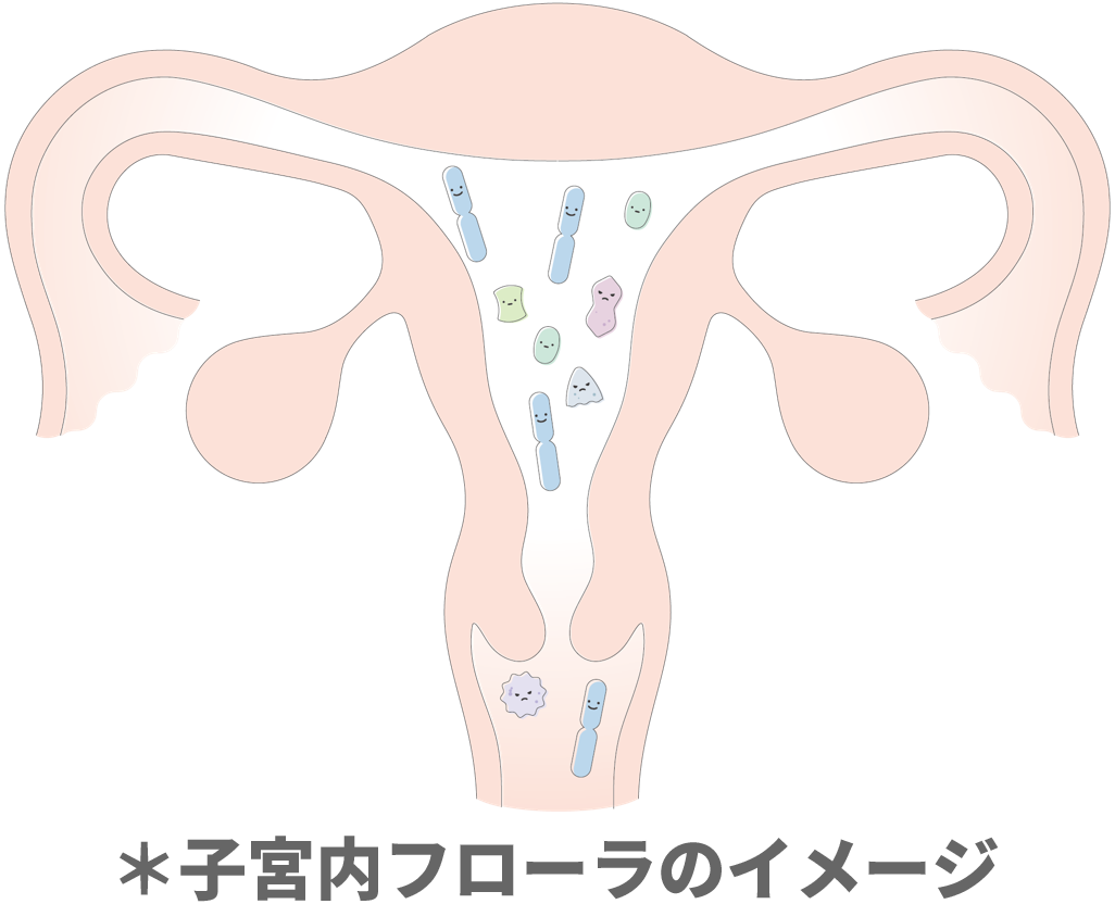 ラクトフェリンとラクトバチルスの違い