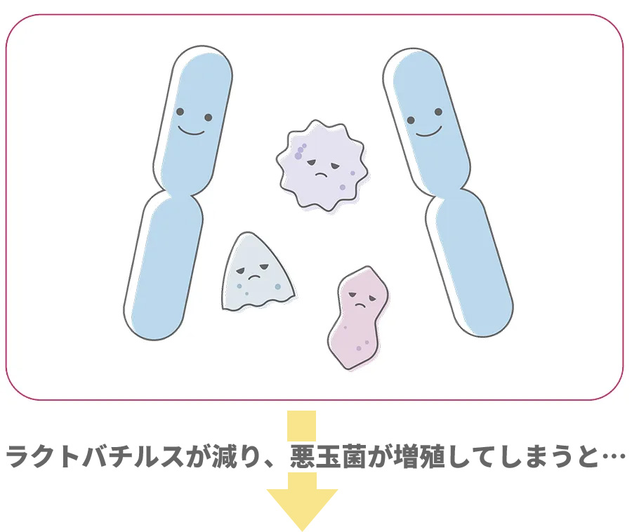 ラクトバチルス