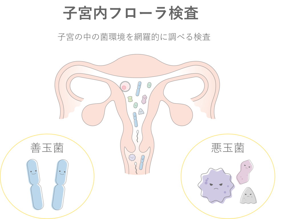 子宮内フローラ検査は、子宮内の菌環境を網羅的に調べる検査