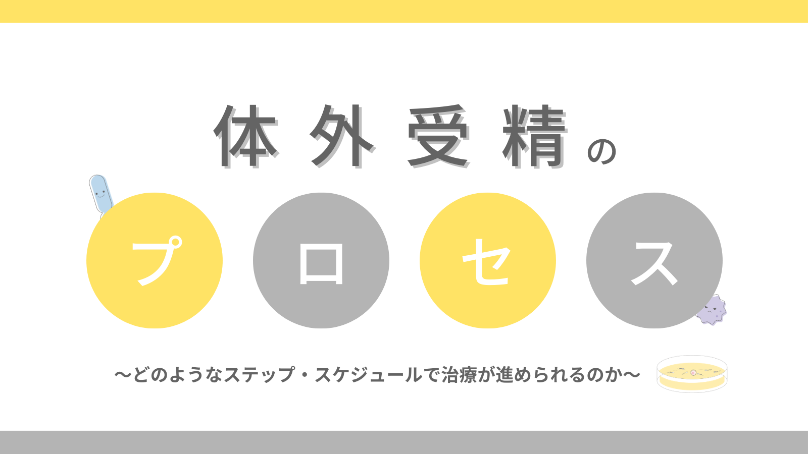 体外受精の治療法別プロセスとスケジュール | Varinos株式会社