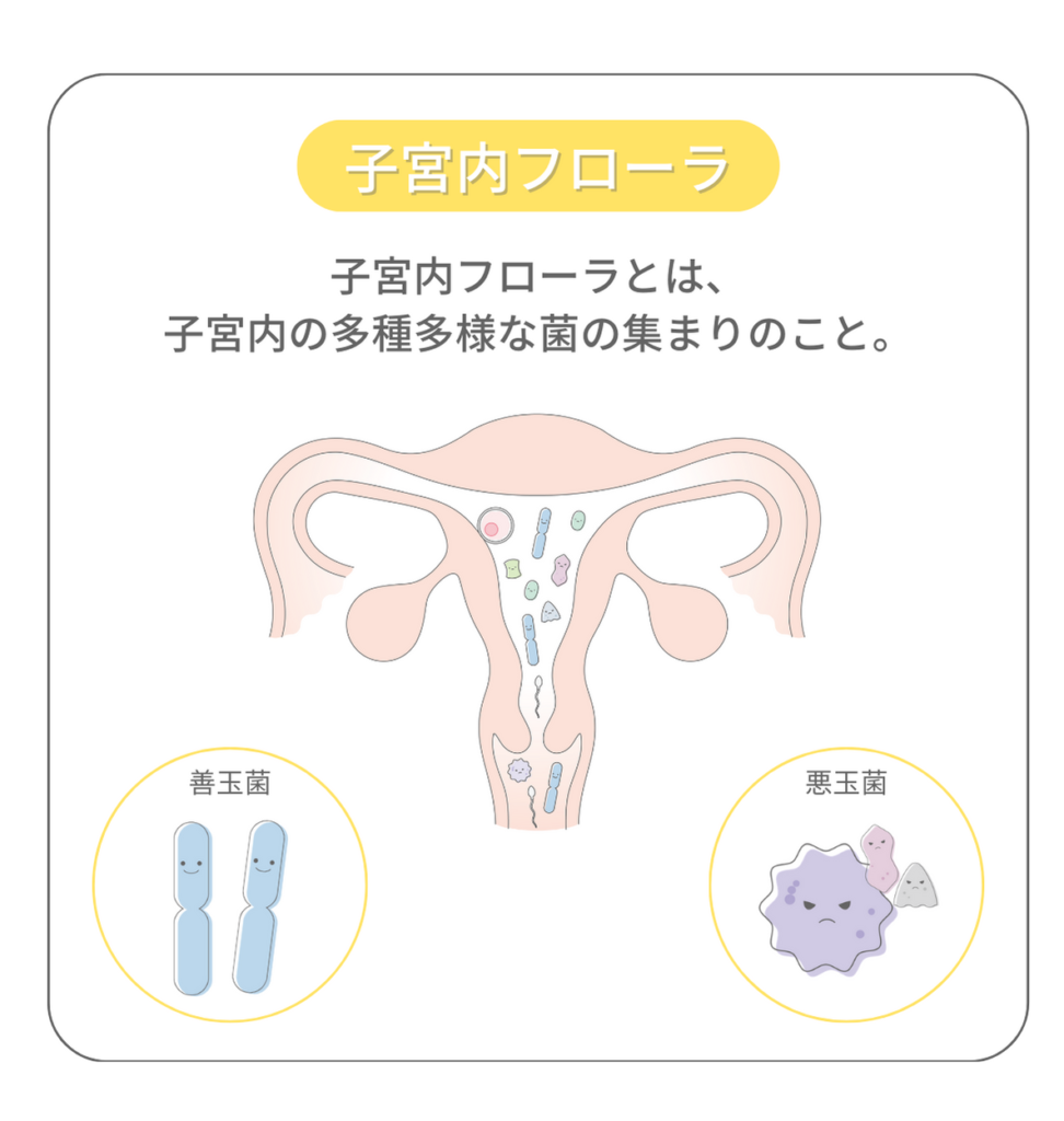 子宮内フローラとは、子宮内の多種多様な菌の集まりのことです。