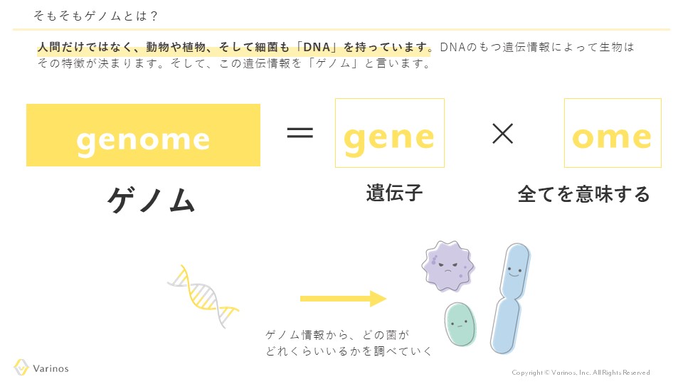 ゲノムについて説明する画像