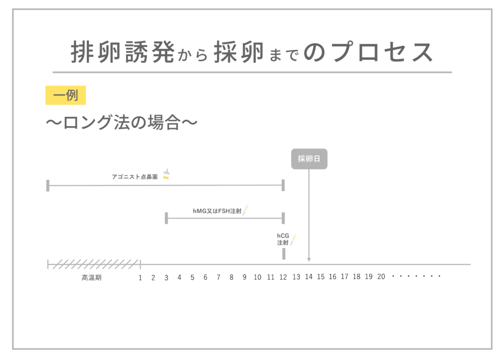 排卵誘発から採卵までのプロセス