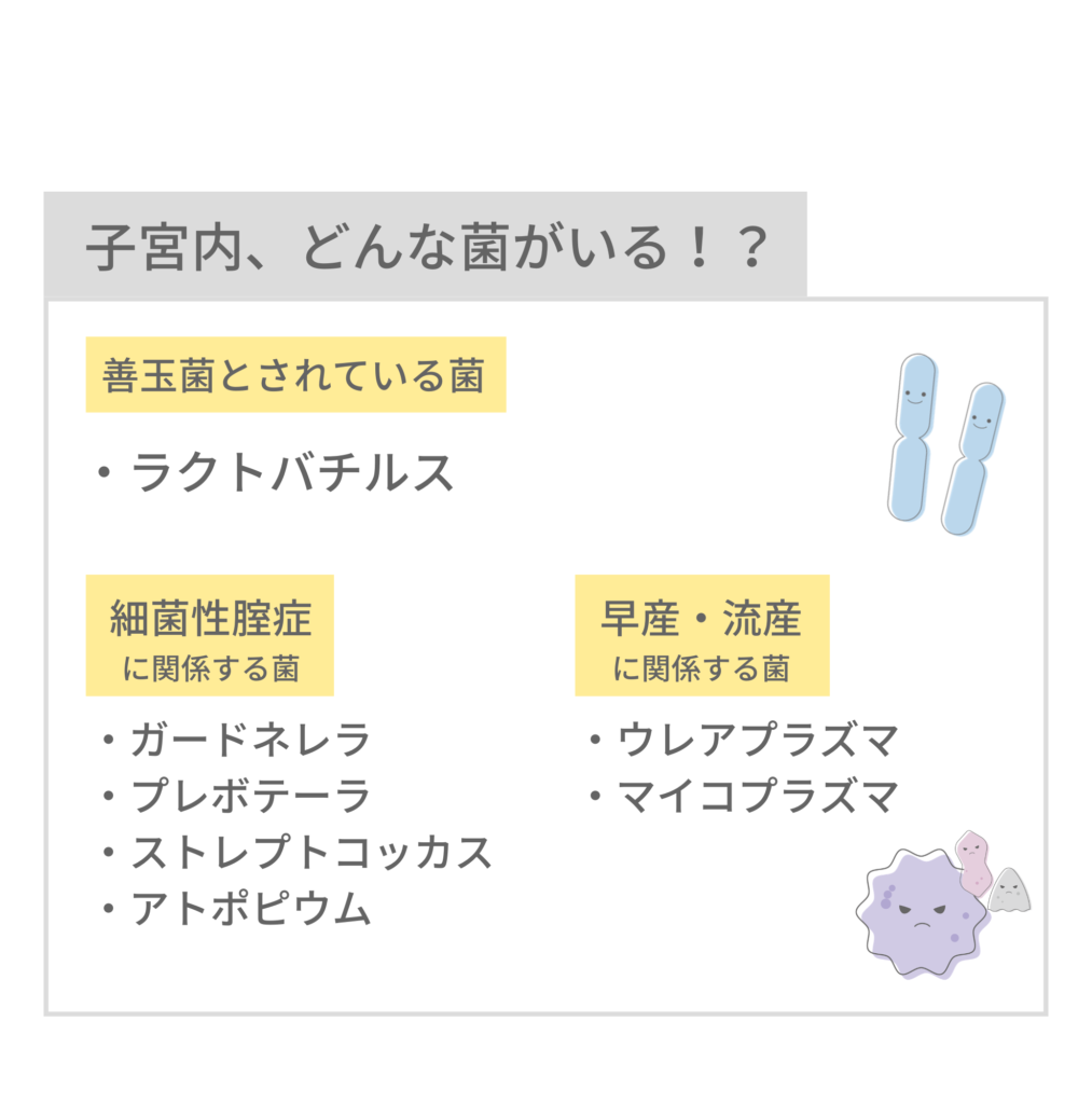 子宮の中にいる善玉菌や細菌性腟症・早産・流産に関係する菌