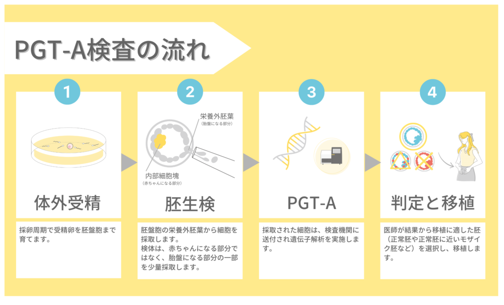 PGT-A検査の流れ