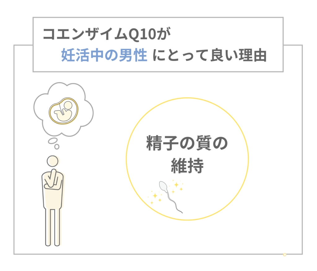 コエンザイムQ10が妊活中の男性にとって良い理由