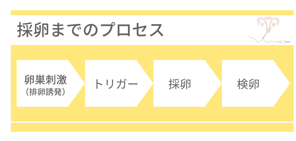 採卵までのプロセス