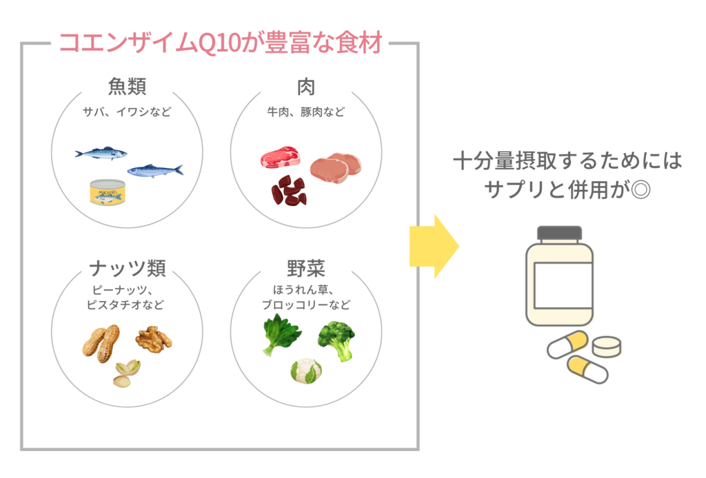 コエンザイムQ10が豊富な食材