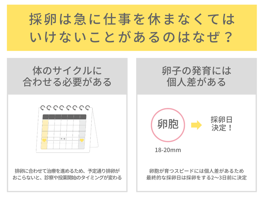 なぜ採卵は仕事を休まないといけないことがあるのか