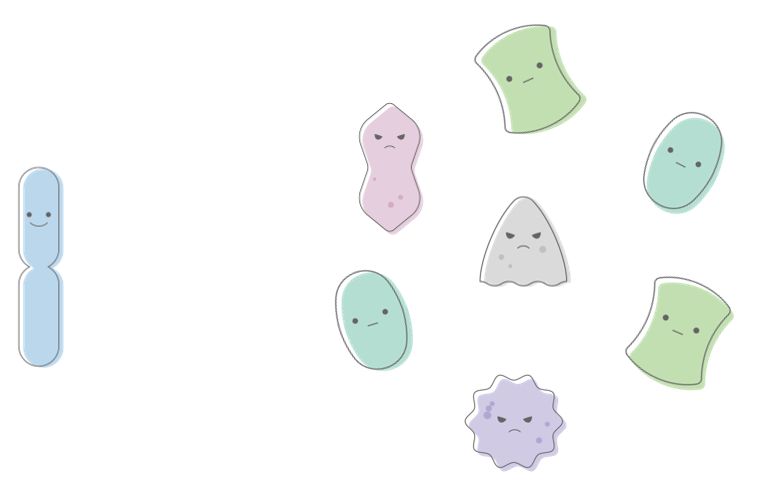 ラクトバチルスが少ない+治療が必要な悪玉菌もいない場合