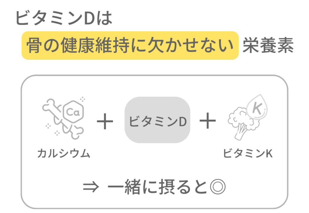 ビタミンDは骨の健康維持に欠かせない栄養素