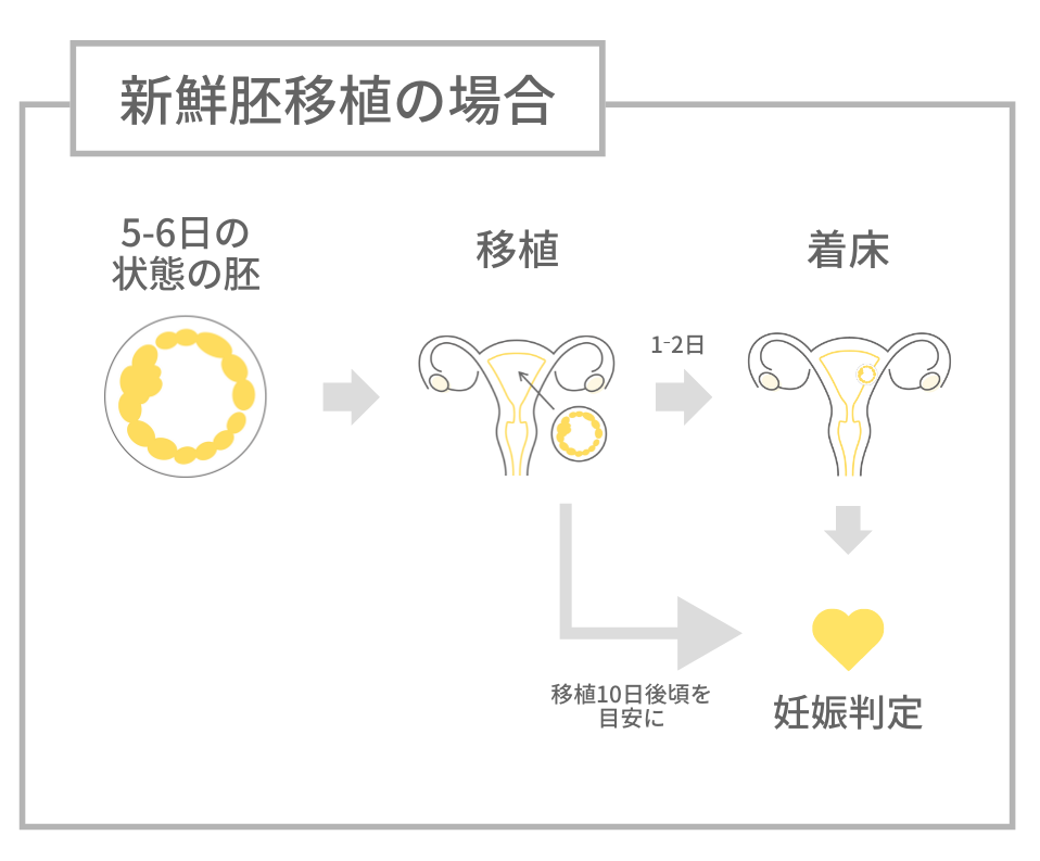 新鮮胚移植を行った後の着床・妊娠判定までのスケジュール