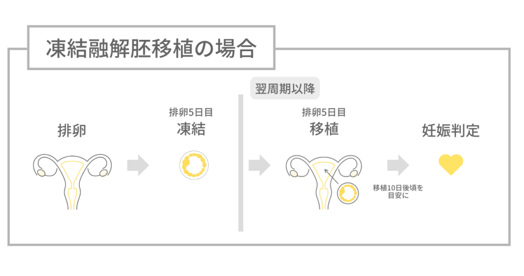 凍結融解胚移植を行った場合の着床・妊娠判定までのスケジュール