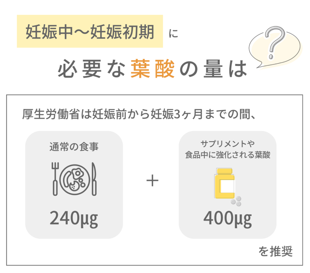 妊活中から妊娠初期に必要な葉酸の量は、食品から240㎍+サプリメントから400㎍/日