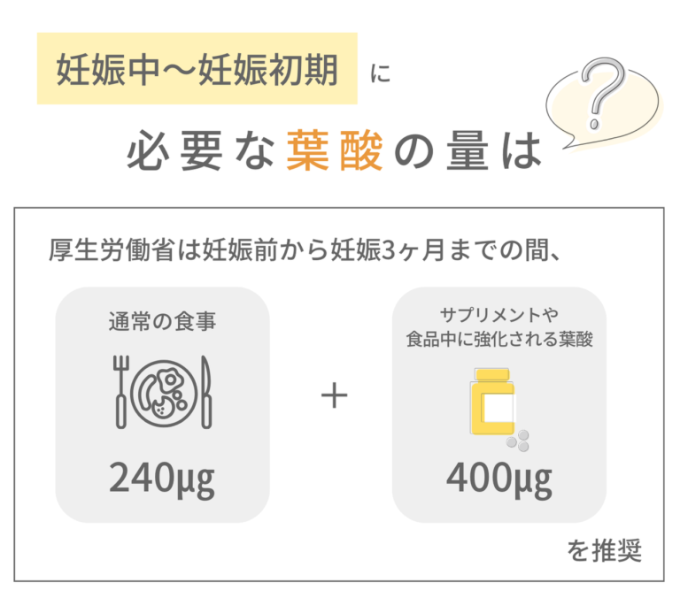 葉酸が多い食べ物リスト【食品分類別】を一挙公開！効果的な摂取方法とは？ | Varinos