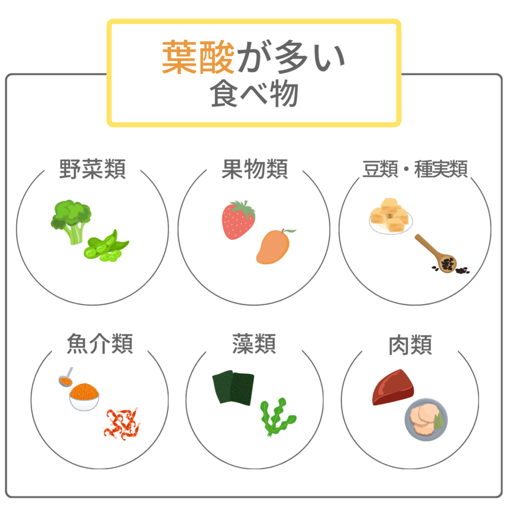 葉酸が多い食べ物リスト