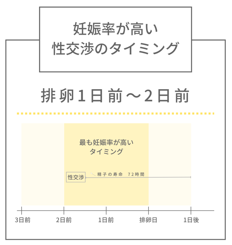 妊娠率が高い性交渉のタイミング