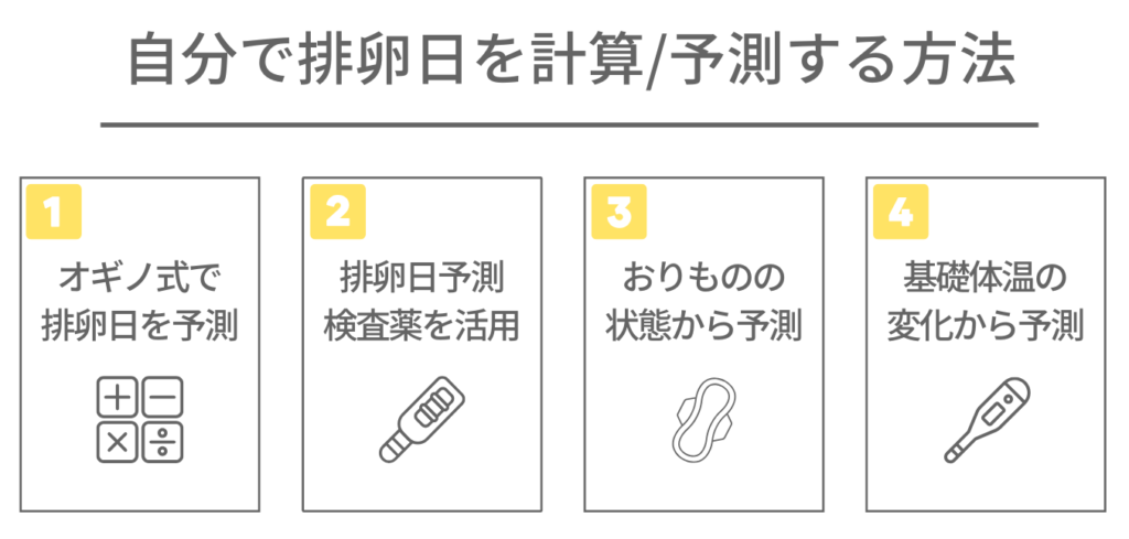 自分で排卵日を計算/予測する方法