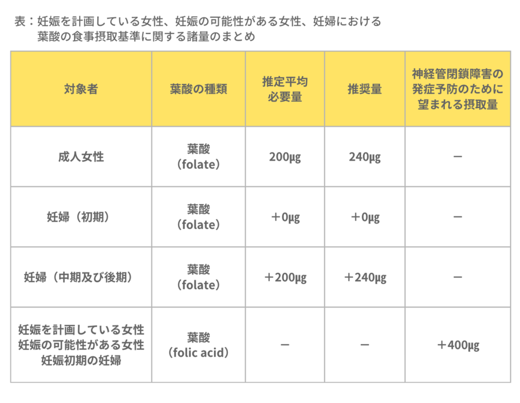 時期に応じた葉酸の必要量