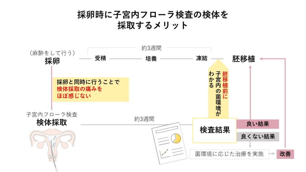 採卵時に子宮内フローラ検査の検体を採取するメリット