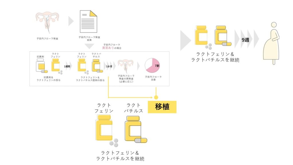 子宮内フローラ改善、いつまでラクトフェリンやラクトバチルスを摂取すべきか