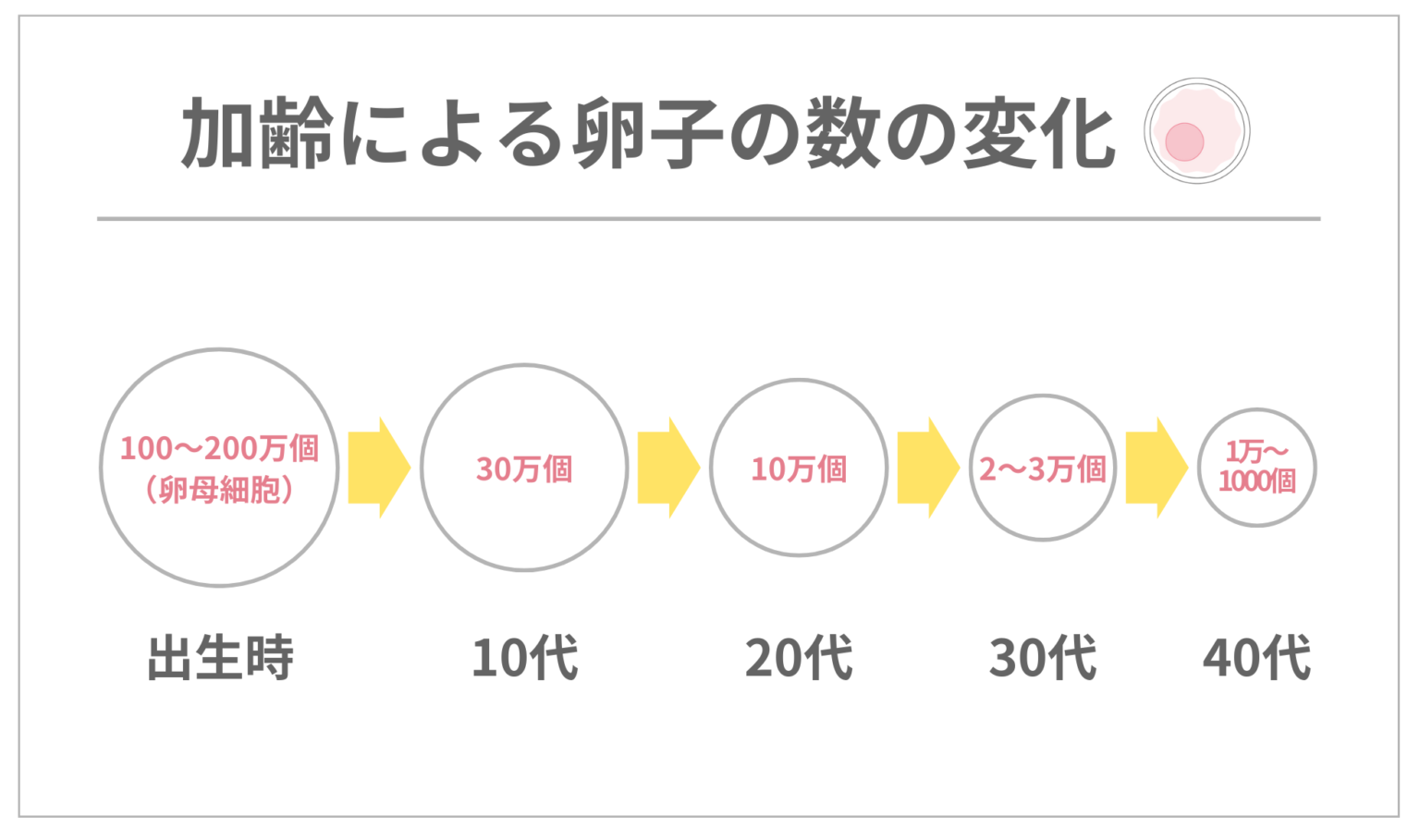 卵子の質や数は改善できない?採卵結果で悩む人が知るべき卵子・卵胞のすべて | Varinos