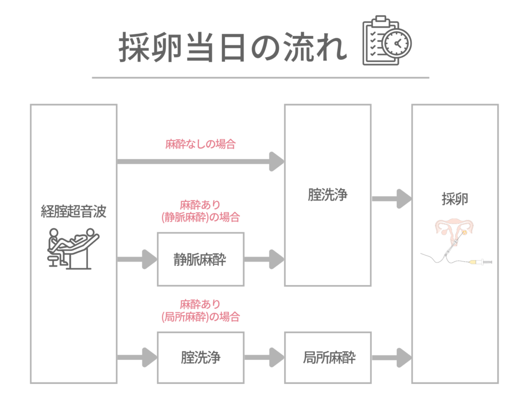 採卵当日の流れの図解
