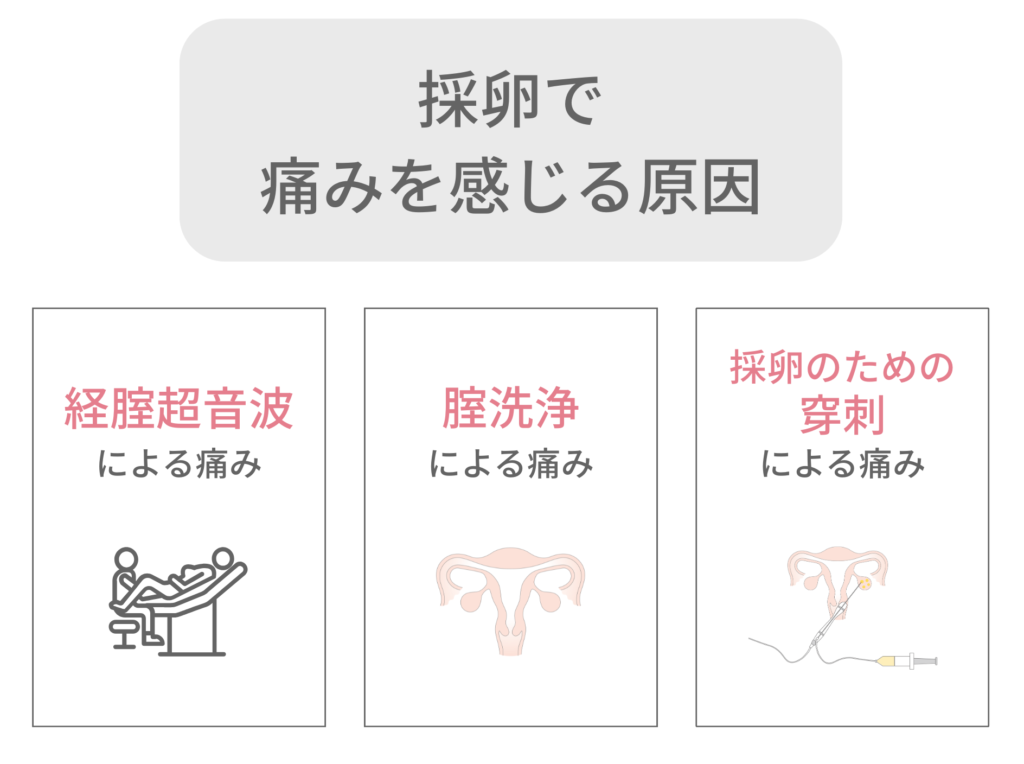 採卵で痛みを感じる要因