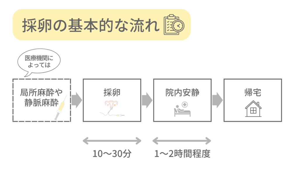 体外受精における採卵の基本的な流れ