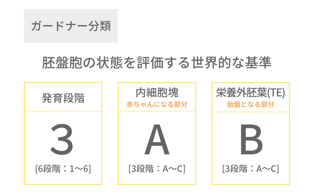 ガードナー分類