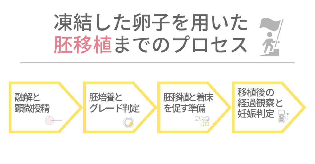 凍結した卵子を用いた胚移植までのプロセスの図解