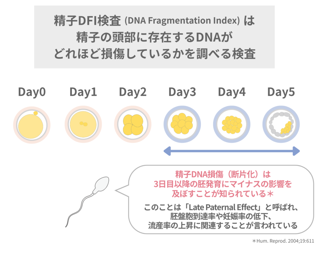 精子の頭部に存在するDNAがどれほど損傷しているかを調べる検査「DFI(DNA Fragmentation Index)検査」に関する図解