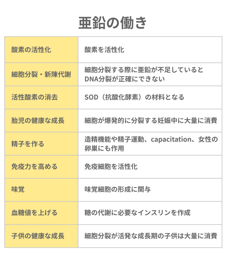 亜鉛の働き