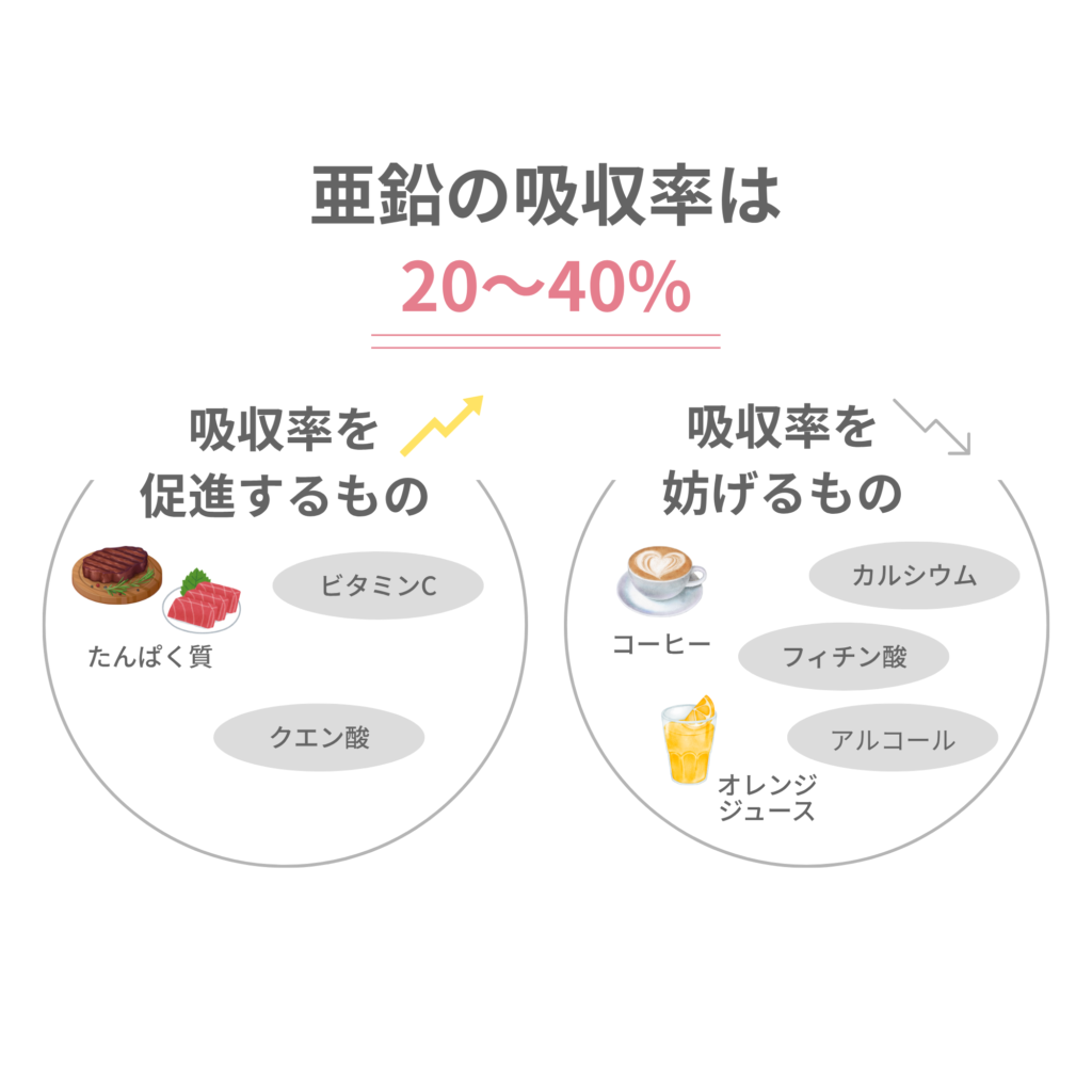 亜鉛と食べ物