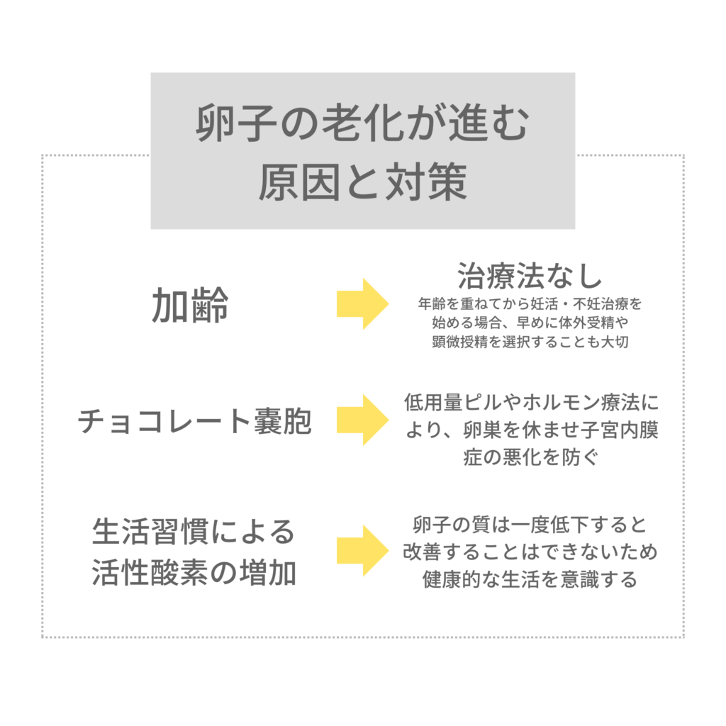 卵子の老化が進む原因と対策