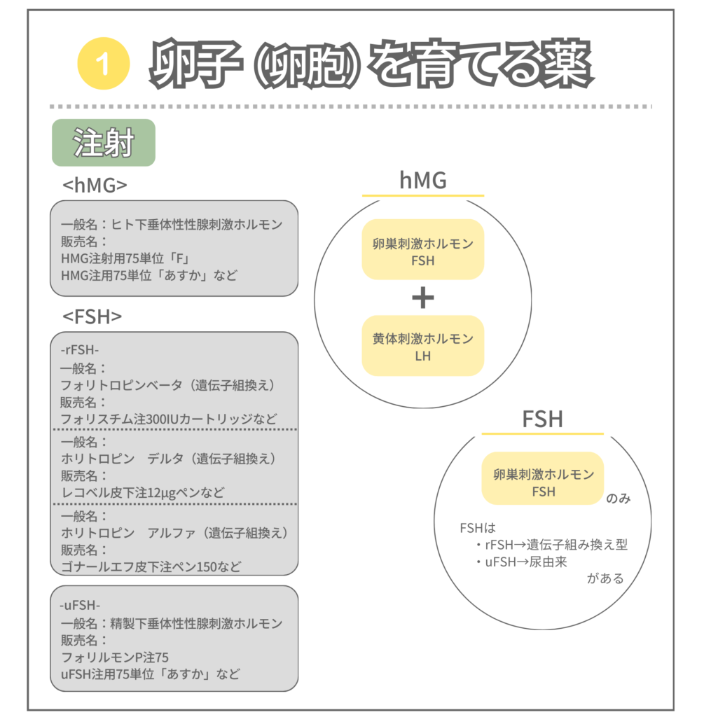 卵子（卵胞）を育てる「hMG製剤」と「FSH製剤」の違いを図解