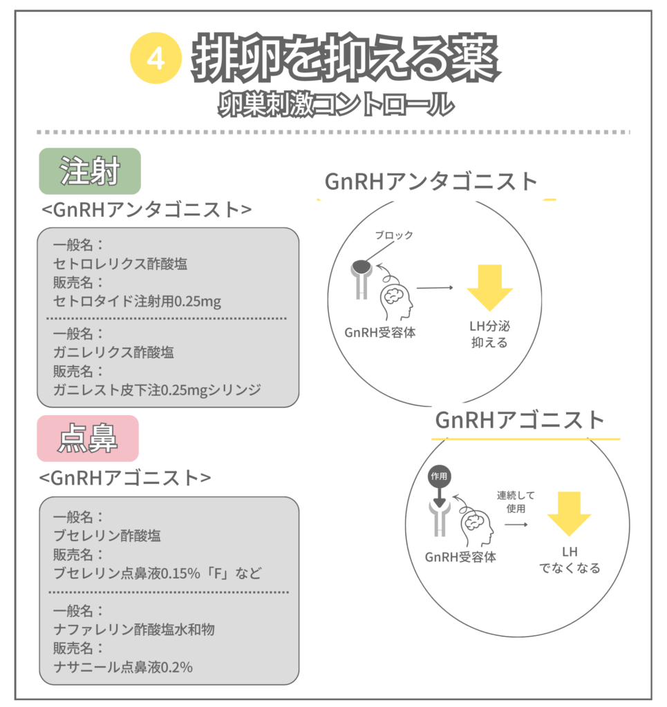 排卵を抑える薬（GnRHアンタゴニスト製剤とGnRHアゴニスト製剤）の違いを図解