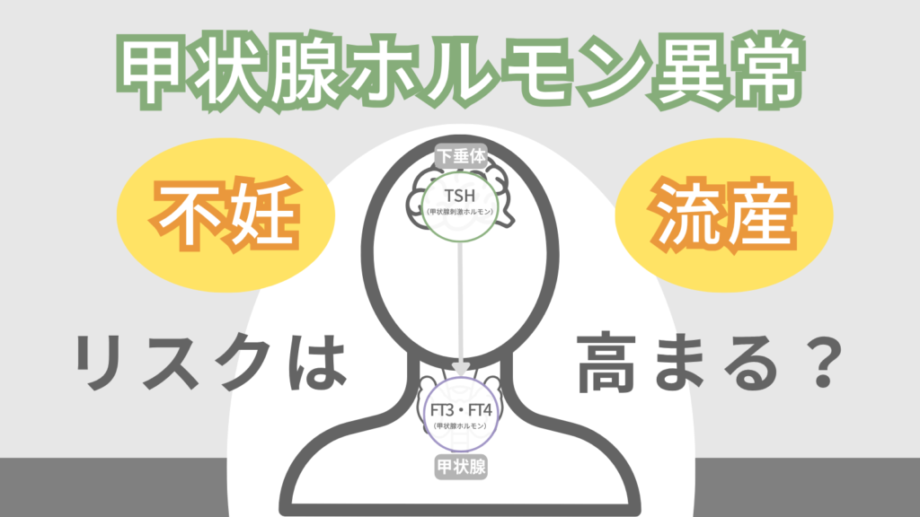 甲状腺ホルモン異常で不妊・流産リスクは高まる?原因と検査・治療法をわかりやすく解説