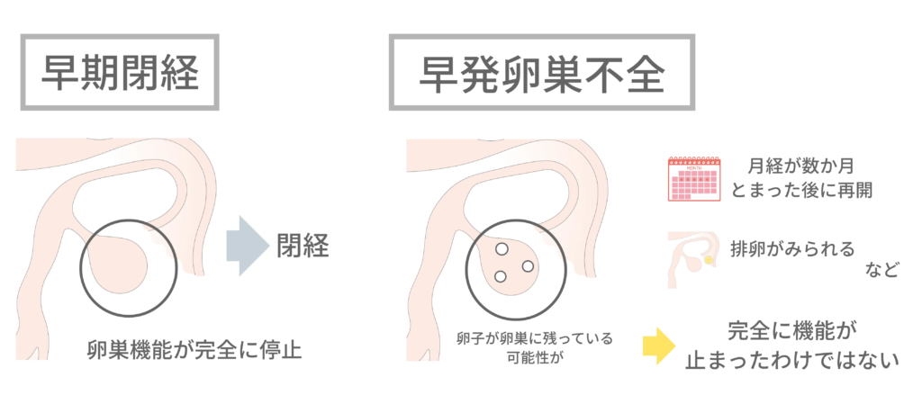 早期閉経と早発卵巣不全の違いを解説