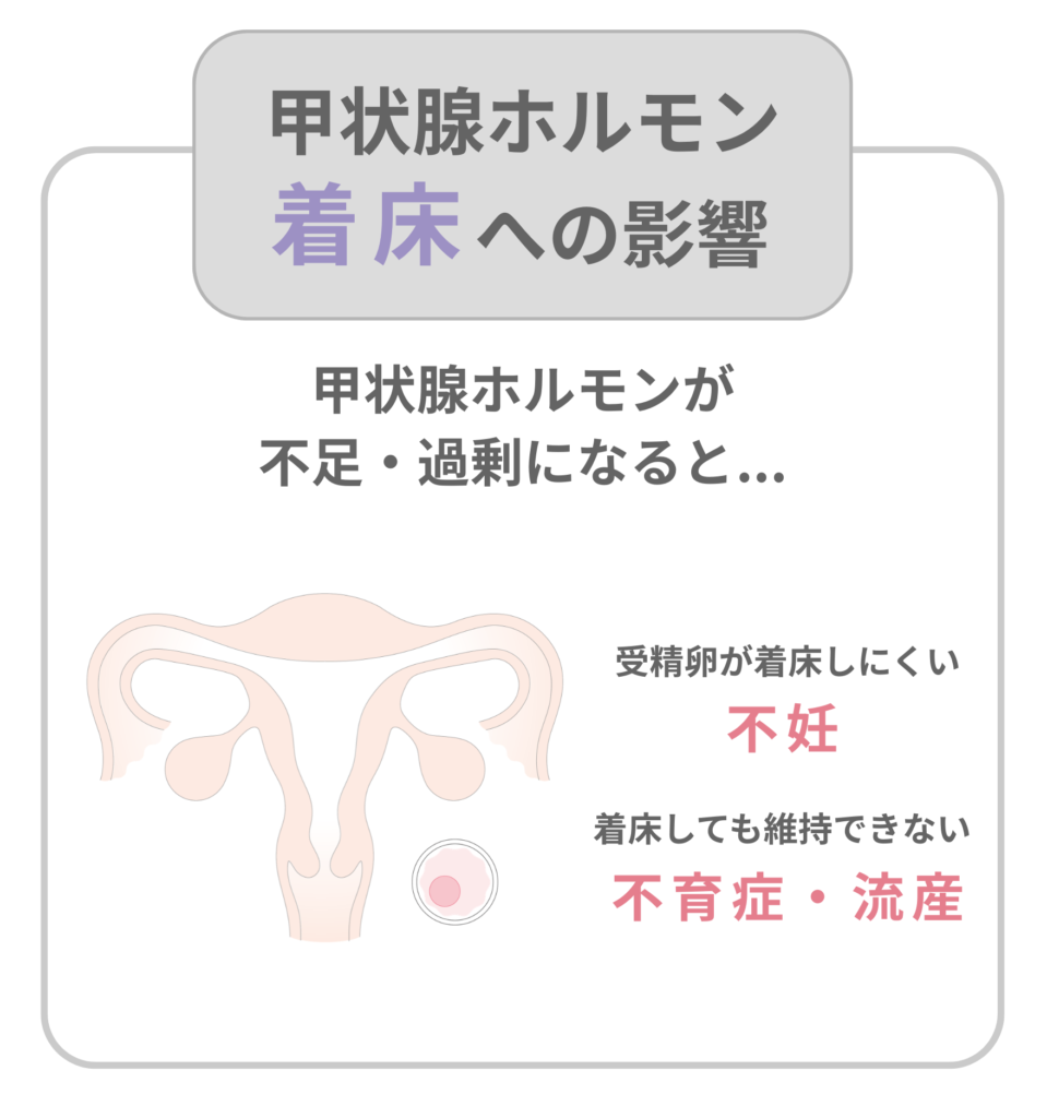 甲状腺ホルモンの着床への影響