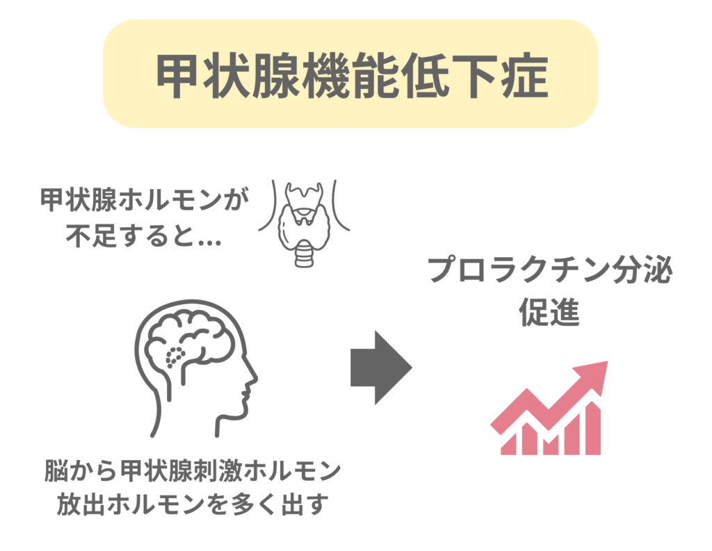 甲状腺機能低下症の図解